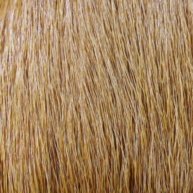 Hareline Deer Belly Hair Is The Perfect Fly Tying Material For Tying Heads On Streamers, Divers And Popper Flies