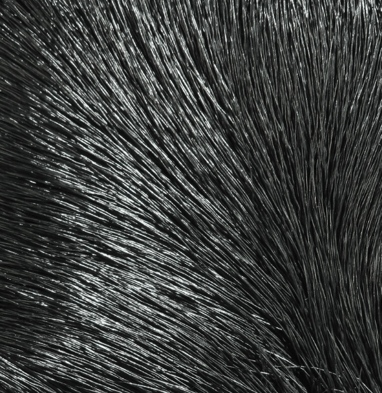 Hareline Dyed Deer Body Hair Fly Tying Material Is The Perfect Material For Tying Bass Bugs And Poppers