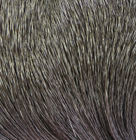 Hareline Dyed Deer Body Hair Fly Tying Material Is The Perfect Material For Tying Bass Bugs And Poppers