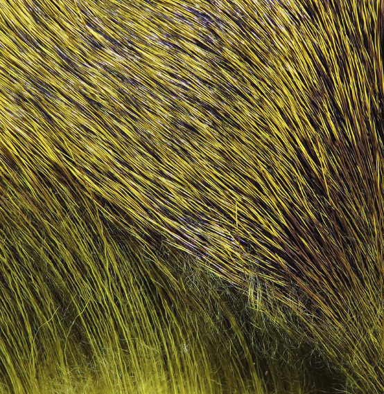 Hareline Dyed Deer Body Hair Fly Tying Material Is The Perfect Material For Tying Bass Bugs And Poppers