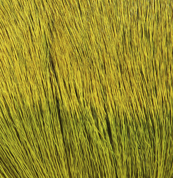 Hareline Dyed Deer Body Hair Fly Tying Material Is The Perfect Material For Tying Bass Bugs And Poppers