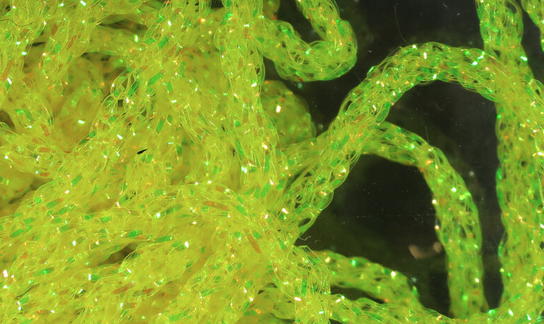 Hareline Diamond Braid Fly Tying Material Is Perfect For Wrapping Bodies On Streamers, Nymphs, And Bonefish Flies