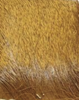 Hareline Dyed Elk Hair is a go to fly tying material when tying wings onto Drake fly patterns and is available online
