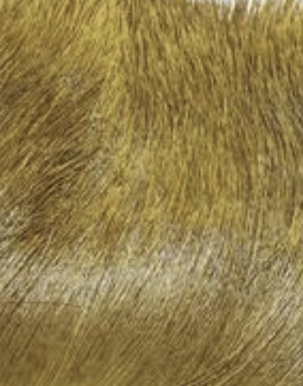 Hareline Dyed Elk Hair is a classic fly tying material for topwater flies and dry flies