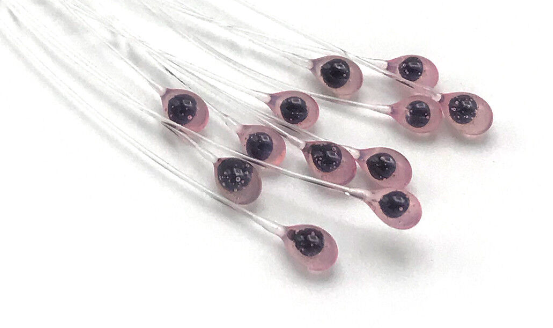 Hareline Epoxy Crab Eyes Are The Perfect Eyes When Tying Shrimp Flies And Crayfish Flies