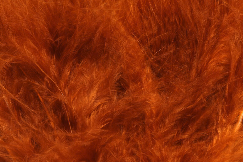 Shop the best fly tying materials online.