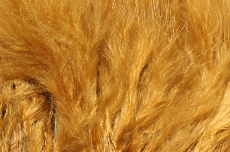 Marabou fly tying feathers for streamer flies.