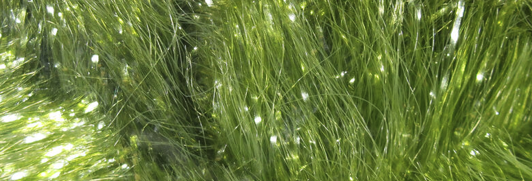 Buy Game Changer Chenille largest size online.