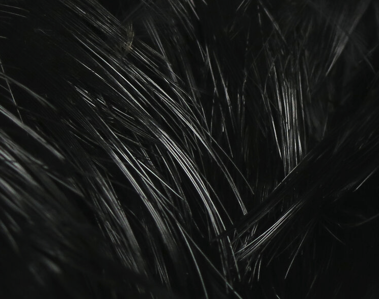 Hareline Golden Pheasant Body Feathers Fly Tying Hackle Is Great For Tying Collars On Spey Flies Or Cheeks On Streamers