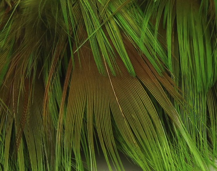 Hareline Golden Pheasant Body Feathers Fly Tying Hackle Is Great For Tying Collars On Spey Flies Or Cheeks On Streamers