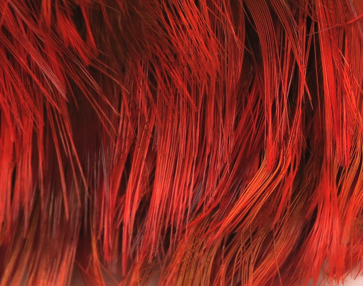 Hareline Golden Pheasant Body Feathers Fly Tying Hackle Is Great For Tying Collars On Spey Flies Or Cheeks On Streamers