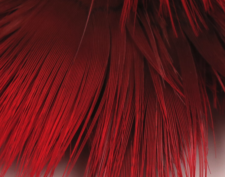 Hareline Golden Pheasant Body Feathers Fly Tying Hackle Is Great For Tying Collars On Spey Flies Or Cheeks On Streamers