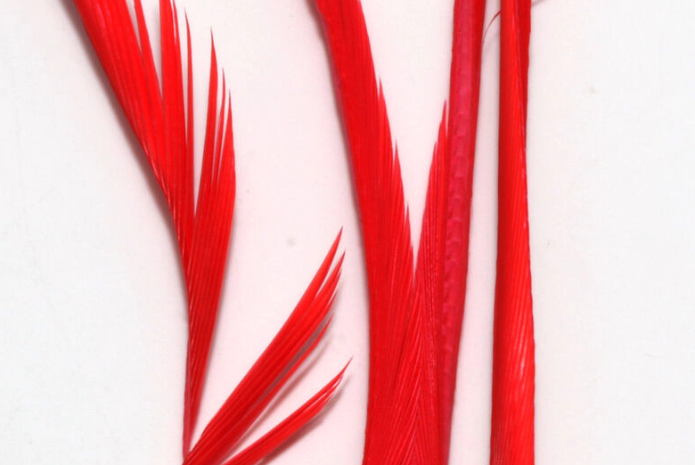 Order  Hareline Goose Biots online at The Fly Fishers.