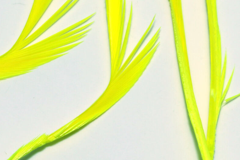 Buy trout nymph fly tying materials online at The Fly Fishers.