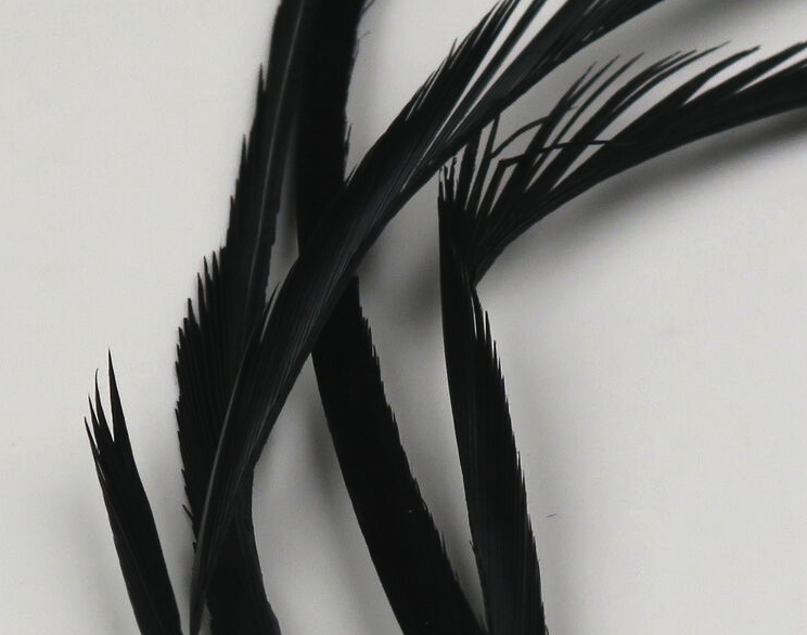 Hareline Goose Biots Are Perfect For Tying In Tails, Wings And Legs On Trout Flies And Panfish Flies