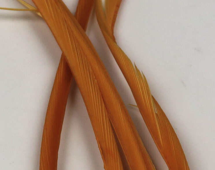 Hareline Goose Biots Are Perfect For Tying In Tails, Wings And Legs On Trout Flies And Panfish Flies