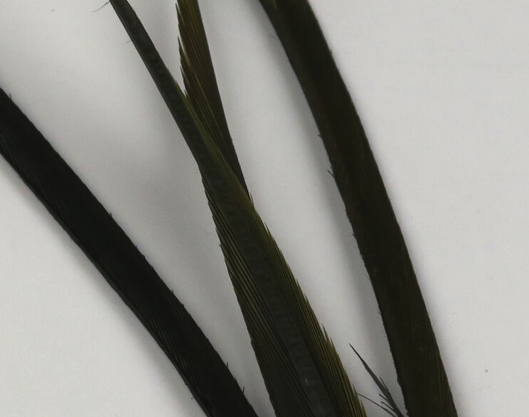 Hareline Goose Biots Are Perfect For Tying In Tails, Wings And Legs On Trout Flies And Panfish Flies