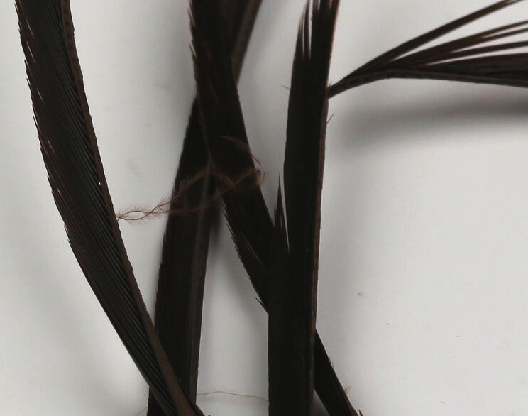 Hareline Goose Biots Are Perfect For Tying In Tails, Wings And Legs On Trout Flies And Panfish Flies