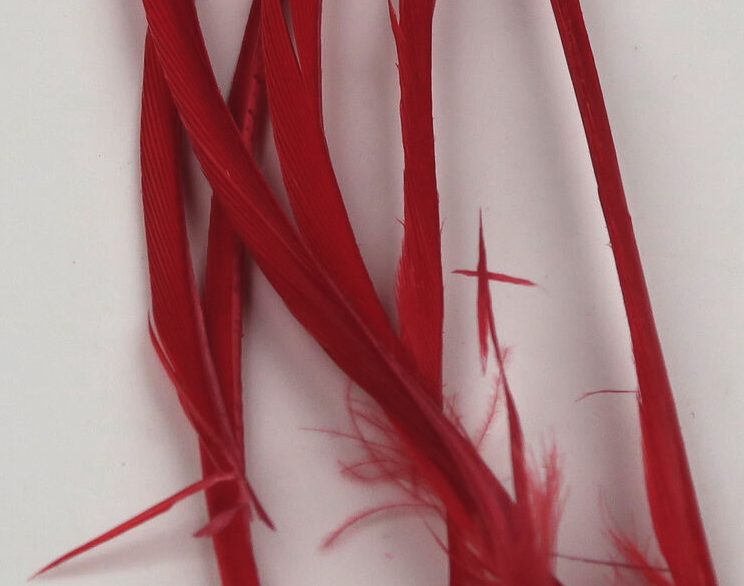 Hareline Goose Biots Are Perfect For Tying In Tails, Wings And Legs On Trout Flies And Panfish Flies