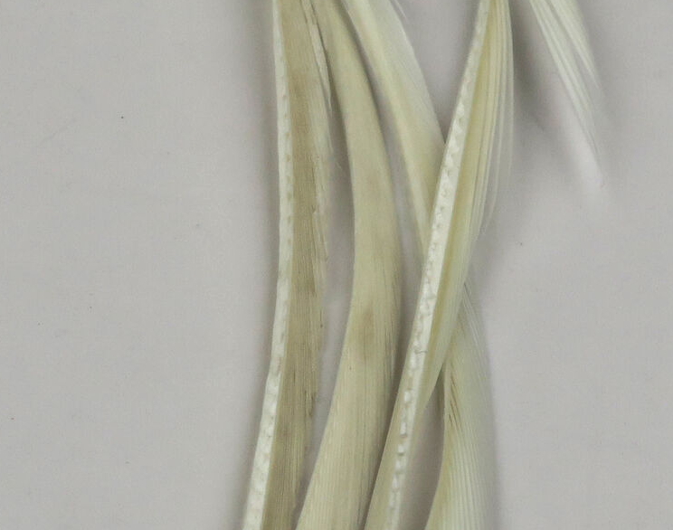 Hareline Goose Biots Are Perfect For Tying In Tails, Wings And Legs On Trout Flies And Panfish Flies