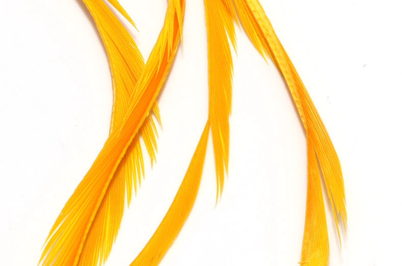 Shop fly tying materials online with the best prices.