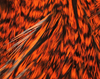 Hareline Grizzly Streamer Capes Are An Inexpensive Way To Get A Good Quality Cape For Fly Tying