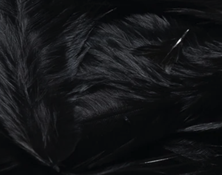 Hareline Grizzly Soft Hackle Fly Tying Material Works Well For Streamers And Larger Wet Nymphs