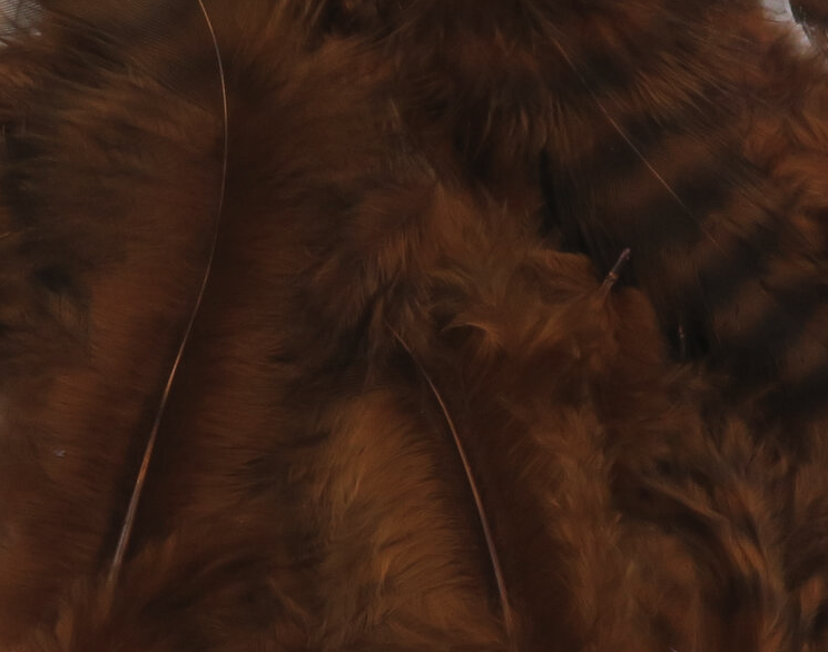 Hareline Grizzly Soft Hackle Fly Tying Material Works Well For Streamers And Larger Wet Nymphs