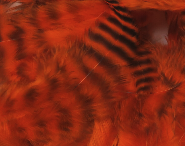 Hareline Grizzly Soft Hackle Fly Tying Material Works Well For Streamers And Larger Wet Nymphs