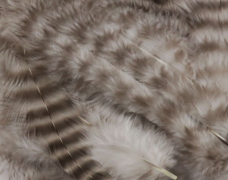 Hareline Grizzly Soft Hackle Fly Tying Material Works Well For Streamers And Larger Wet Nymphs