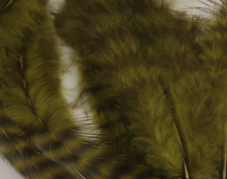 Hareline Grizzly Soft Hackle Fly Tying Material Works Well For Streamers And Larger Wet Nymphs