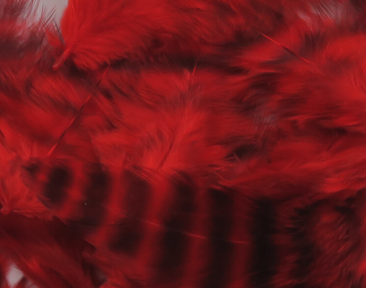 Hareline Grizzly Soft Hackle Fly Tying Material Works Well For Streamers And Larger Wet Nymphs