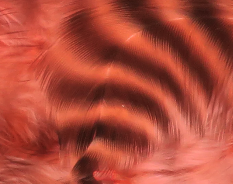 Hareline Grizzly Soft Hackle Fly Tying Material Works Well For Streamers And Larger Wet Nymphs