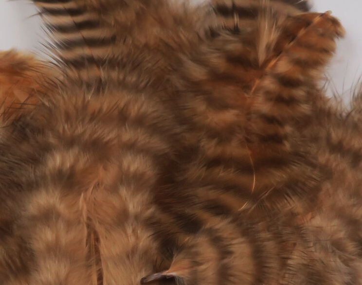 Hareline Grizzly Soft Hackle Fly Tying Material Works Well For Streamers And Larger Wet Nymphs