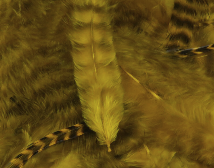 Hareline Grizzly Soft Hackle Fly Tying Material Works Well For Streamers And Larger Wet Nymphs