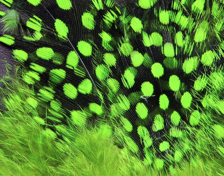 Hareline Guinea Hackle Works Great For Tying Collars And Wings On Salmon And Steelhead Flies