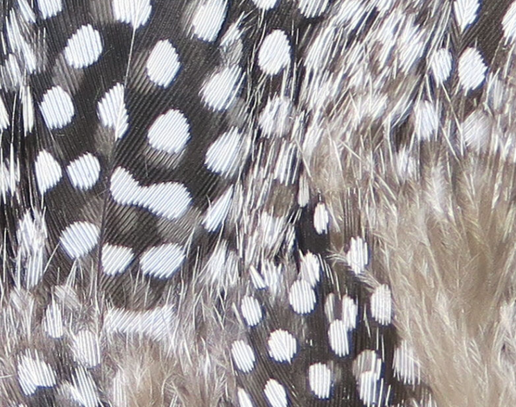 Hareline Guinea Hackle Works Great For Tying Collars And Wings On Salmon And Steelhead Flies