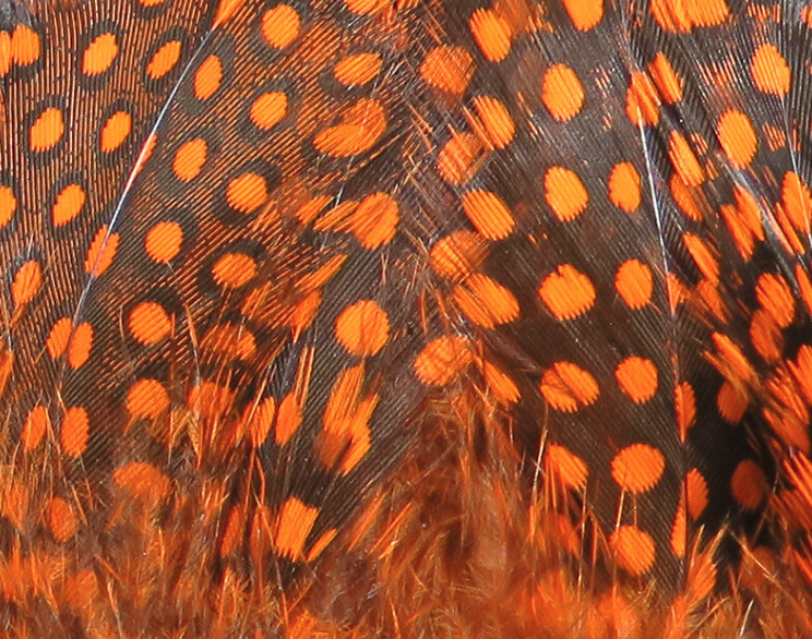 Hareline Guinea Hackle Works Great For Tying Collars And Wings On Salmon And Steelhead Flies