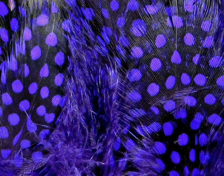 Hareline Guinea Hackle Works Great For Tying Collars And Wings On Salmon And Steelhead Flies