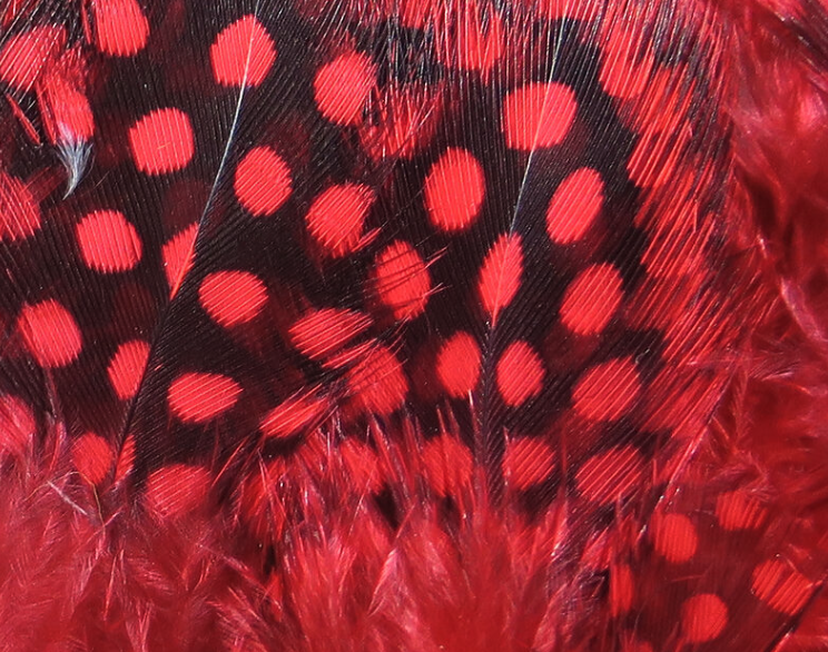 Hareline Guinea Hackle Works Great For Tying Collars And Wings On Salmon And Steelhead Flies