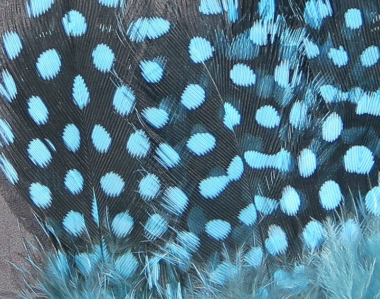 Hareline Guinea Hackle Works Great For Tying Collars And Wings On Salmon And Steelhead Flies