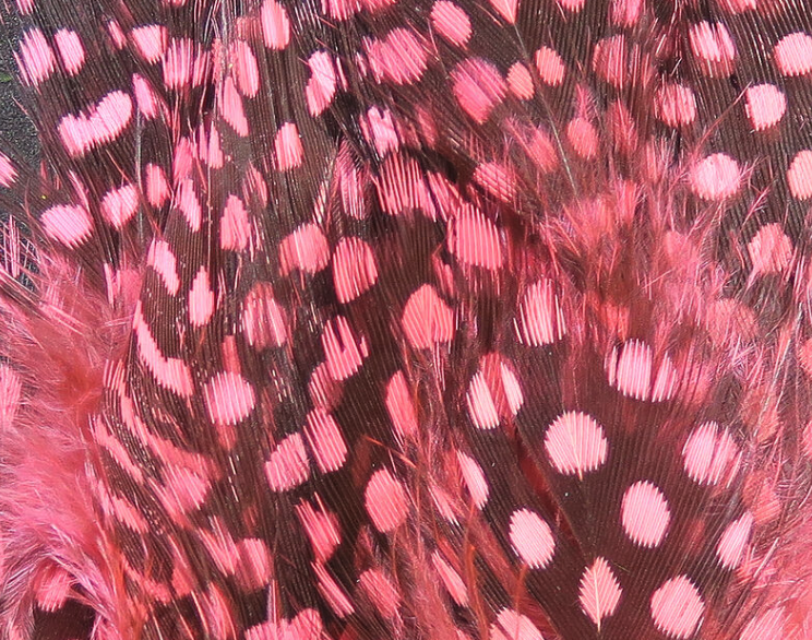 Hareline Guinea Hackle Works Great For Tying Collars And Wings On Salmon And Steelhead Flies