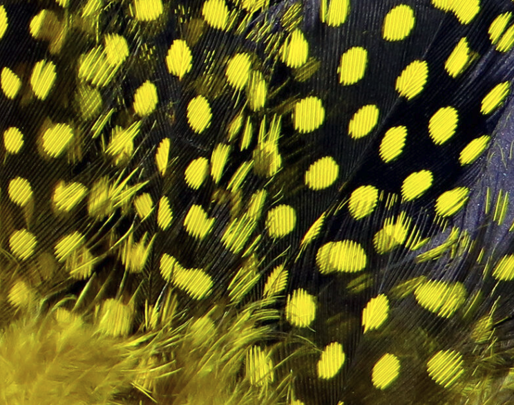 Hareline Guinea Hackle Works Great For Tying Collars And Wings On Salmon And Steelhead Flies