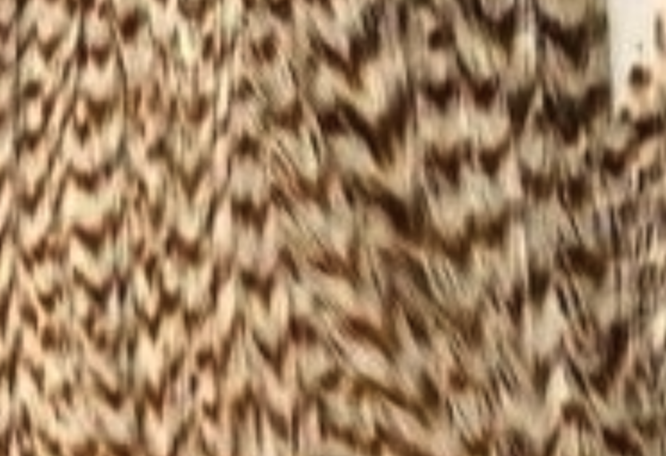 Hareline Half Rooster Cape Works Great For Wings And Hackle On Bass Flies As Well As Wings On Saltwater Flies