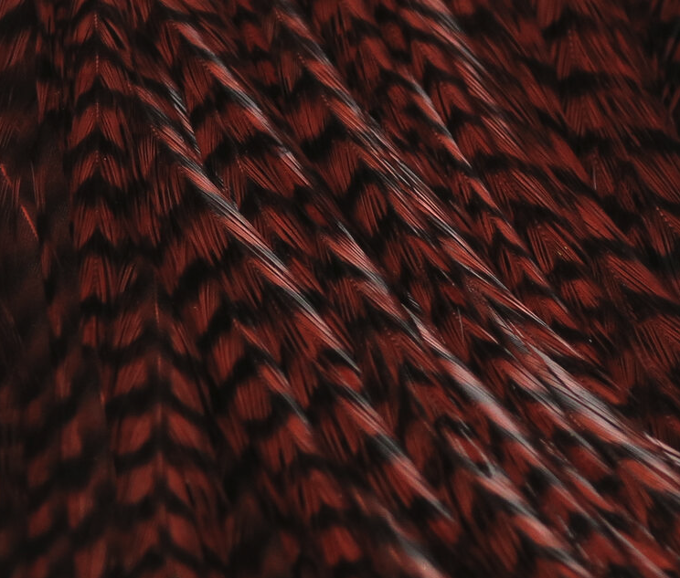 Hareline Half Rooster Cape Works Great For Wings And Hackle On Bass Flies As Well As Wings On Saltwater Flies