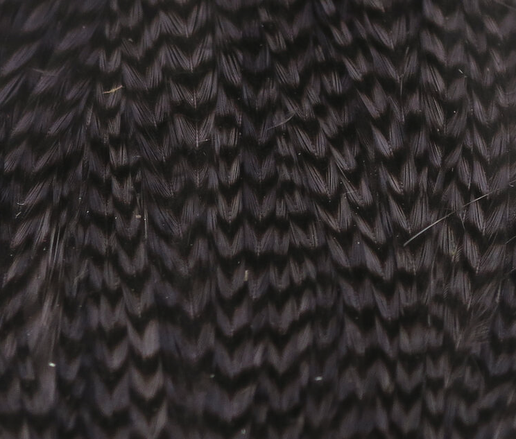 Hareline Half Rooster Cape Works Great For Wings And Hackle On Bass Flies As Well As Wings On Saltwater Flies