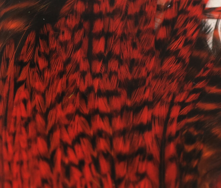 Hareline Half Rooster Cape Works Great For Wings And Hackle On Bass Flies As Well As Wings On Saltwater Flies