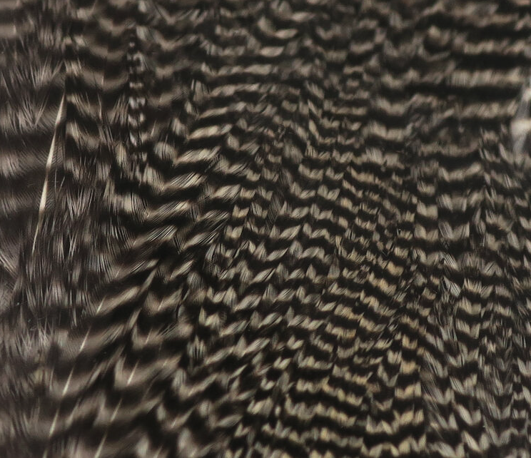 Hareline Half Rooster Cape Works Great For Wings And Hackle On Bass Flies As Well As Wings On Saltwater Flies