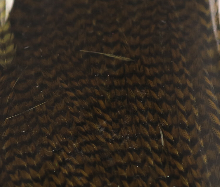 Hareline Half Rooster Cape Works Great For Wings And Hackle On Bass Flies As Well As Wings On Saltwater Flies