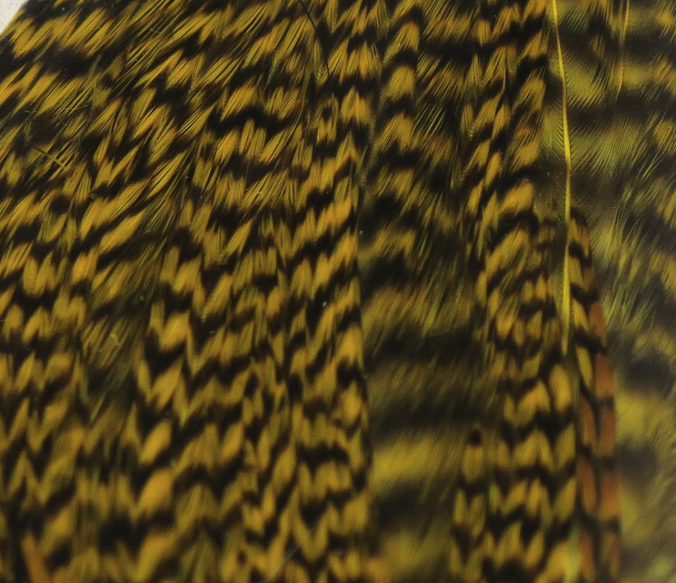 Hareline Half Rooster Cape Works Great For Wings And Hackle On Bass Flies As Well As Wings On Saltwater Flies